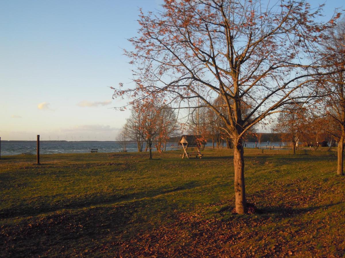 Lenzer Parkblick Am Plauer See Eksteriør bilde